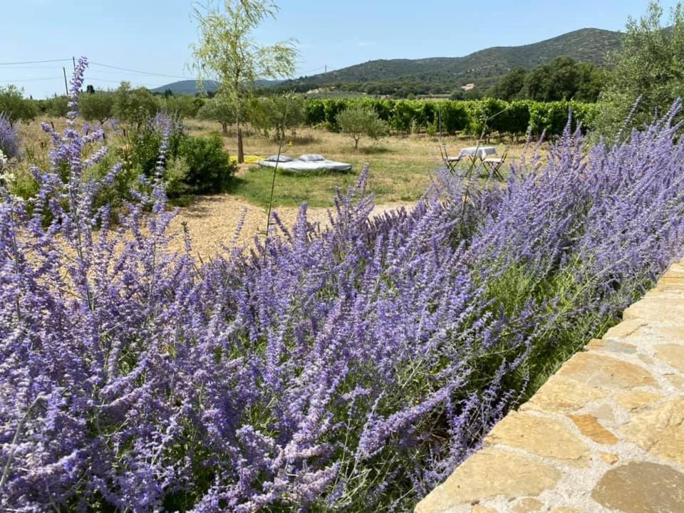 Maison D'Hotes Bastide St Victor A 2,5 Kilometres De Lourmarin Puyvert Exteriér fotografie